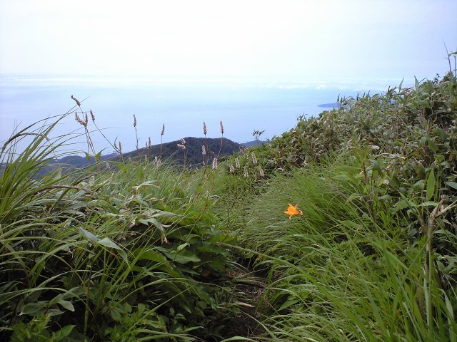 d0107938_12451840.jpg