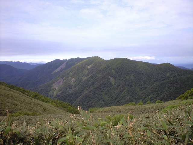 d0107938_12455096.jpg