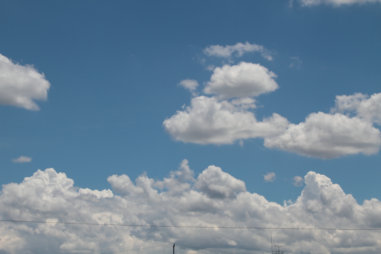 e0156649_2181344.jpg