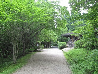 d0031853_61421.jpg