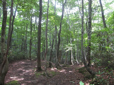 d0031853_816612.jpg
