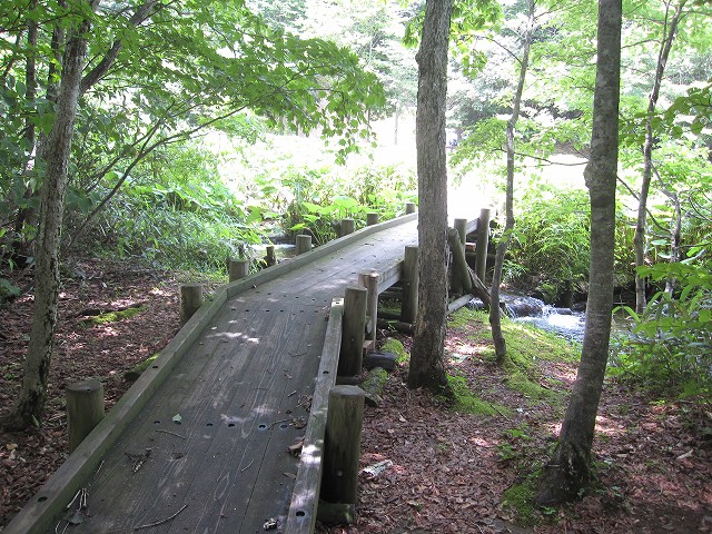 d0031853_817361.jpg