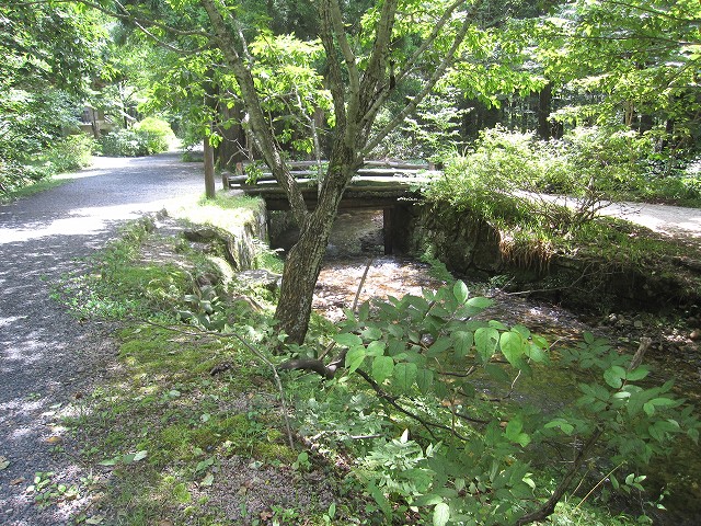 d0031853_8191225.jpg