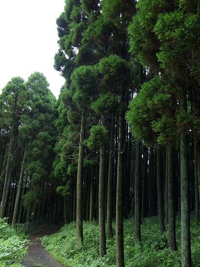 f0149057_12574567.jpg