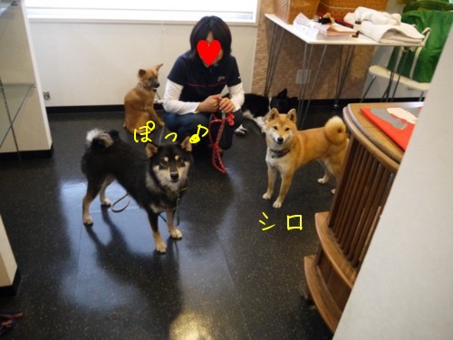 f0177261_138060.jpg