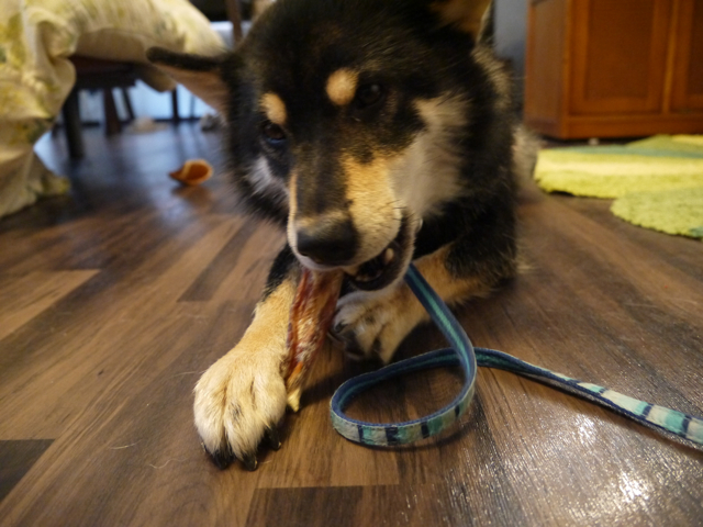 f0177261_20123479.jpg