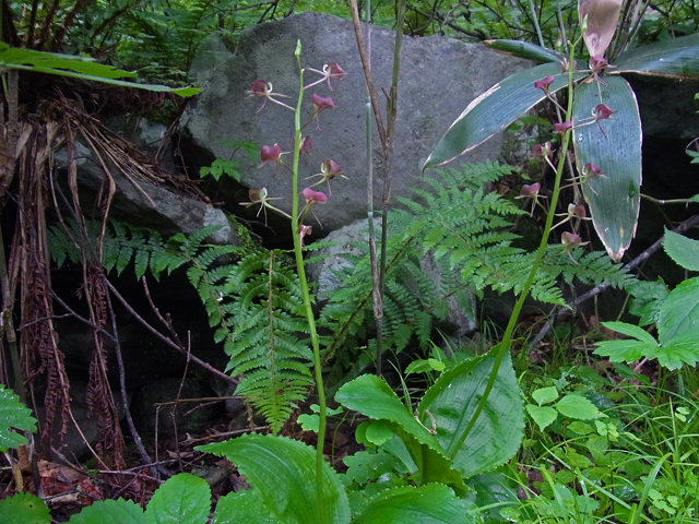 b0186563_1646431.jpg