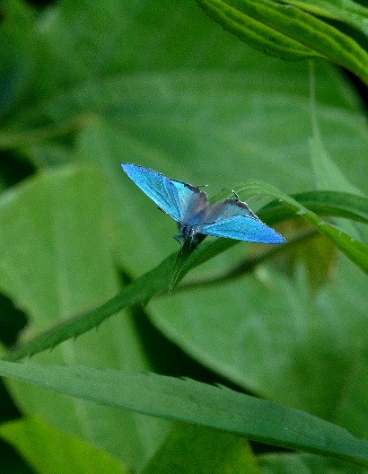 d0084473_2133648.jpg