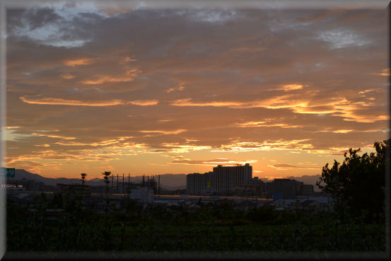 e0099375_2254517.jpg