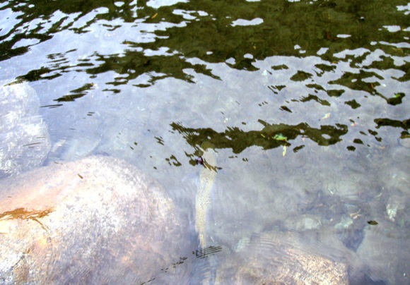 a0169776_2151165.jpg