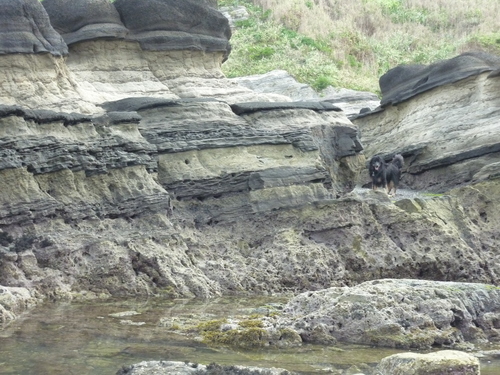 e0207477_9315527.jpg