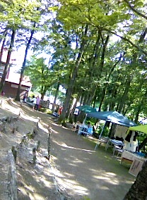 b0138478_0144994.jpg