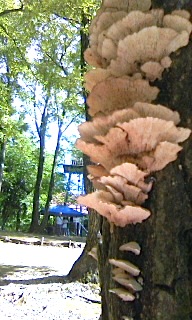b0138478_0161652.jpg
