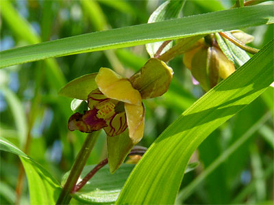 c0152779_1337550.jpg
