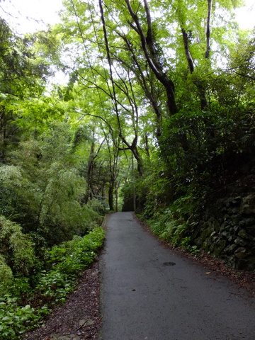 a0043982_16511649.jpg