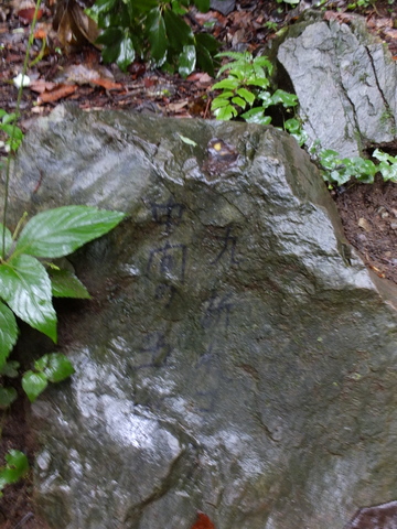 a0043982_20171975.jpg