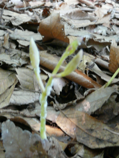 e0145782_17503776.jpg
