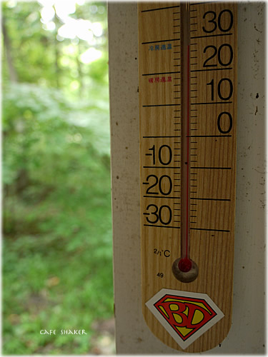 e0138787_1735457.jpg