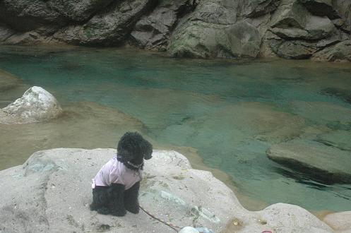 c0123890_10194196.jpg