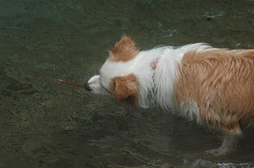 c0123890_1023113.jpg