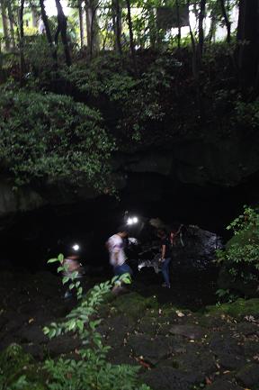 e0164690_1431760.jpg