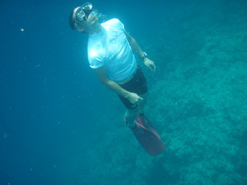 f0085291_19452750.jpg