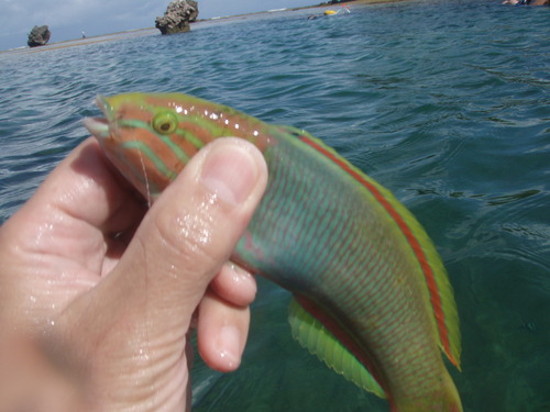 f0085291_202986.jpg