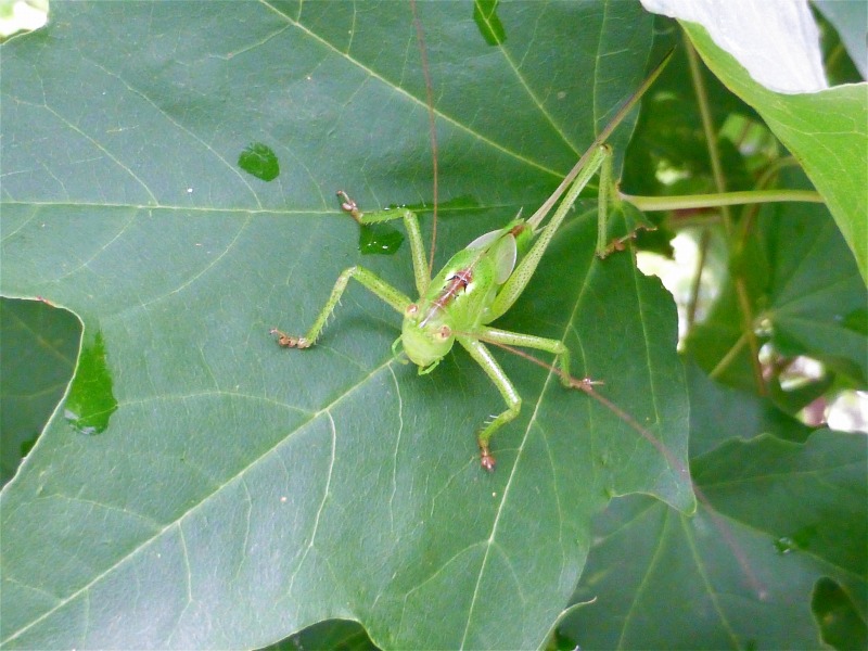 e0202393_10134121.jpg