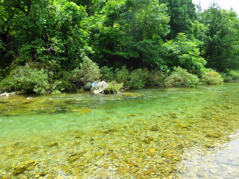 e0202393_1094195.jpg