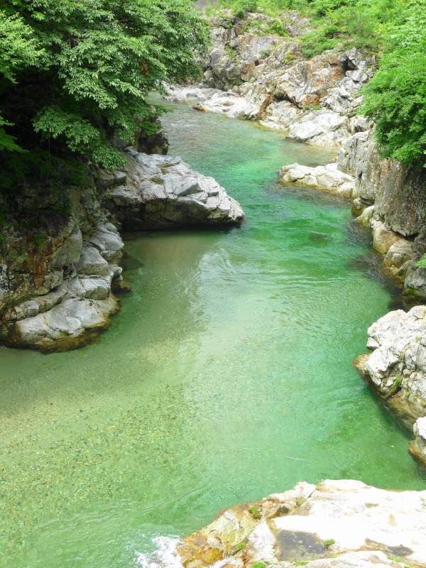 e0202393_921985.jpg
