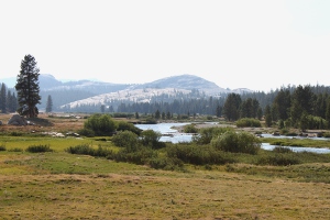 c0033994_2471639.jpg