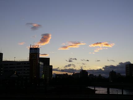 e0048994_98493.jpg