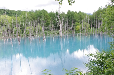 e0059896_2115745.jpg