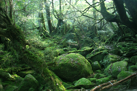 c0095900_10173545.jpg