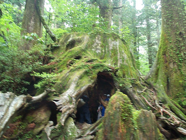 c0095900_10234172.jpg
