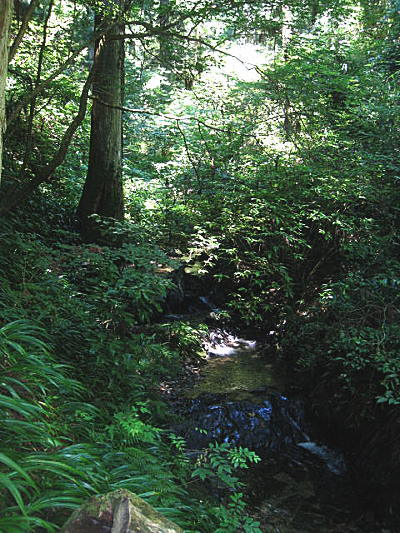 d0046702_11152045.jpg