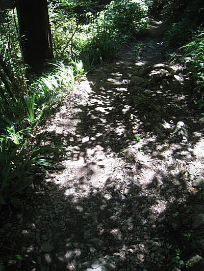 d0046702_1115278.jpg