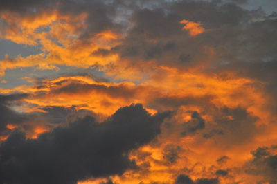 b0069507_5513350.jpg