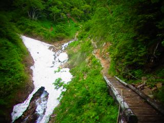 b0183911_2246478.jpg