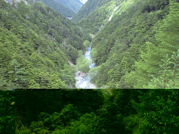 d0168318_2234503.jpg