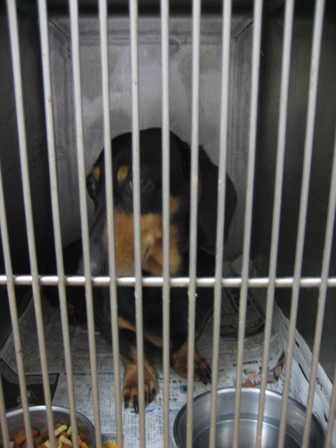f0078320_522716.jpg