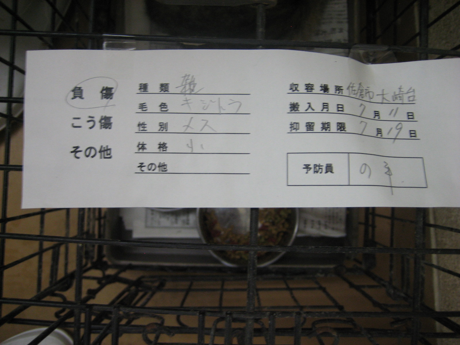 f0078320_5234935.jpg