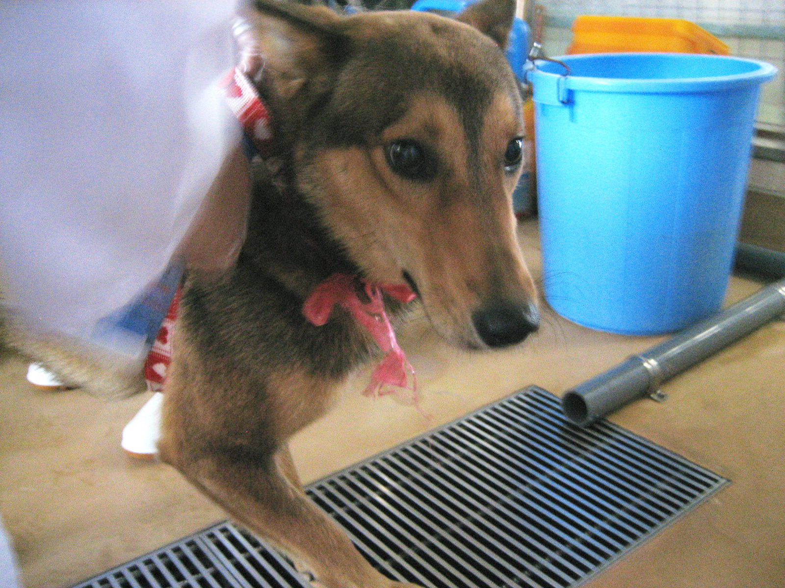 f0078320_5414896.jpg