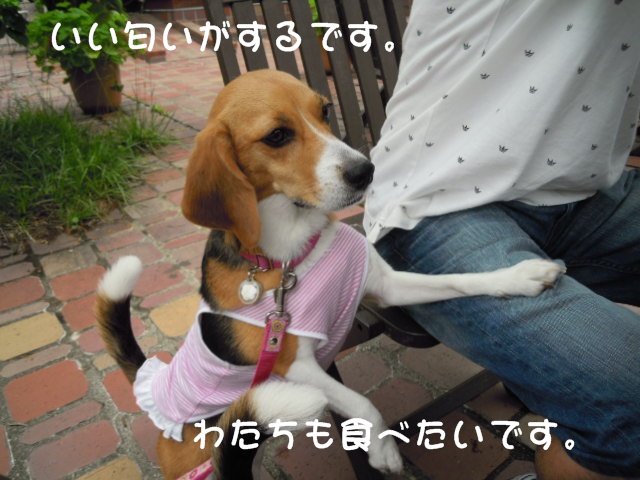 c0166622_1426190.jpg