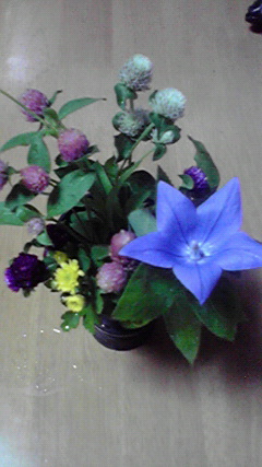d0110022_050253.jpg