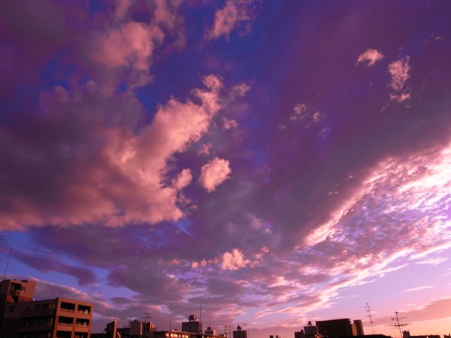 f0209122_18573824.jpg