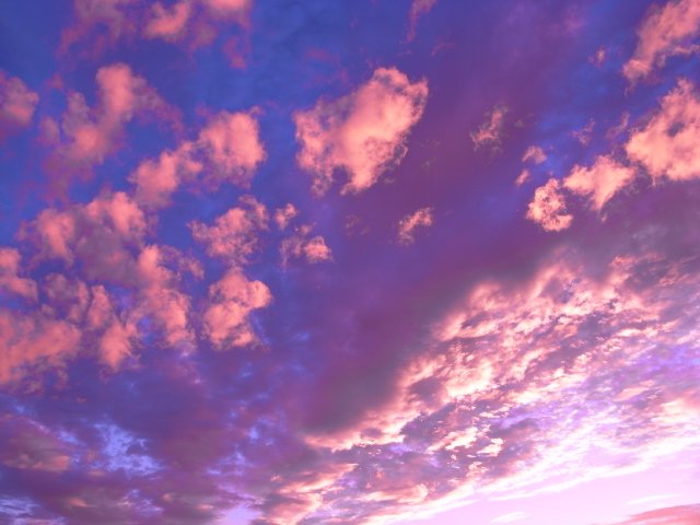 f0209122_18585047.jpg