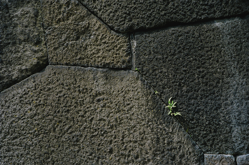 a0145825_23264486.jpg