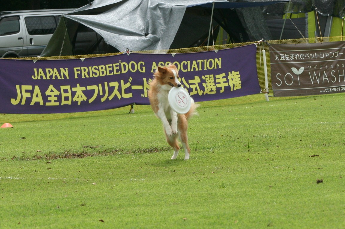 b0085331_1128233.jpg