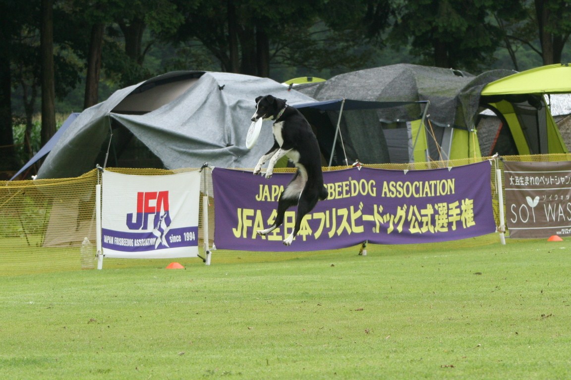 b0085331_11373551.jpg